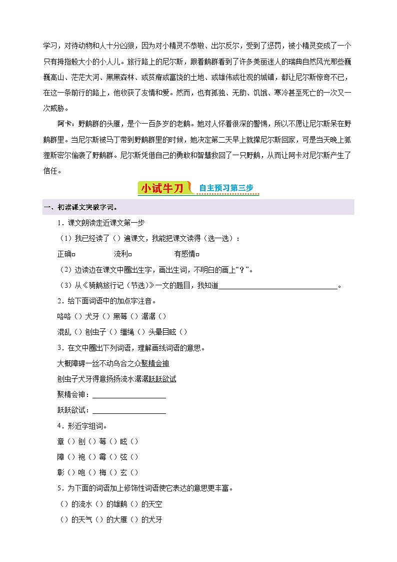 第6课《骑鹅旅行记(节选)》-2024-2025学年六年级语文下册寒假自学讲义(统编版)第2页