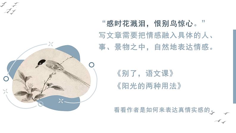 第三单元 《习作例文》(教学课件)第5页