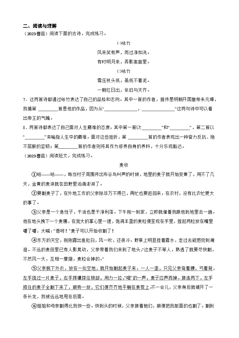 山东省菏泽市曹县2023年小升初语文试卷(学生版+解析)第3页
