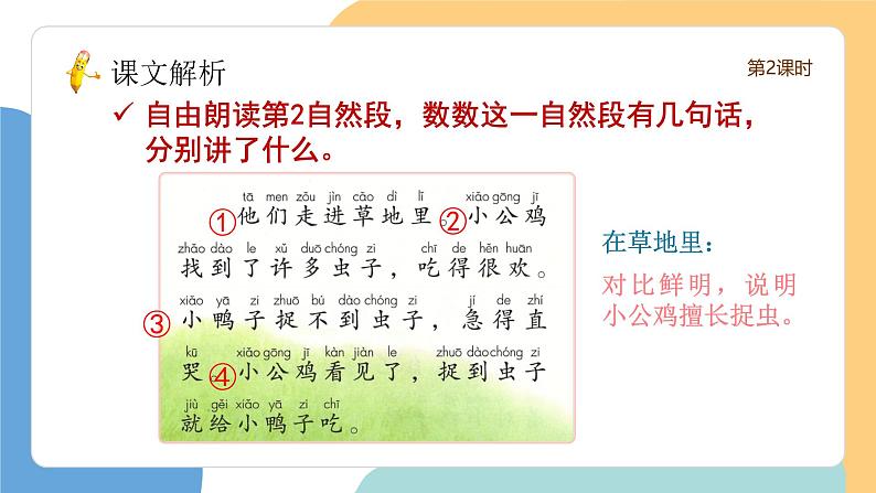 小公鸡和小鸭子(第2课时)(含课堂练习、课后习题)第6页