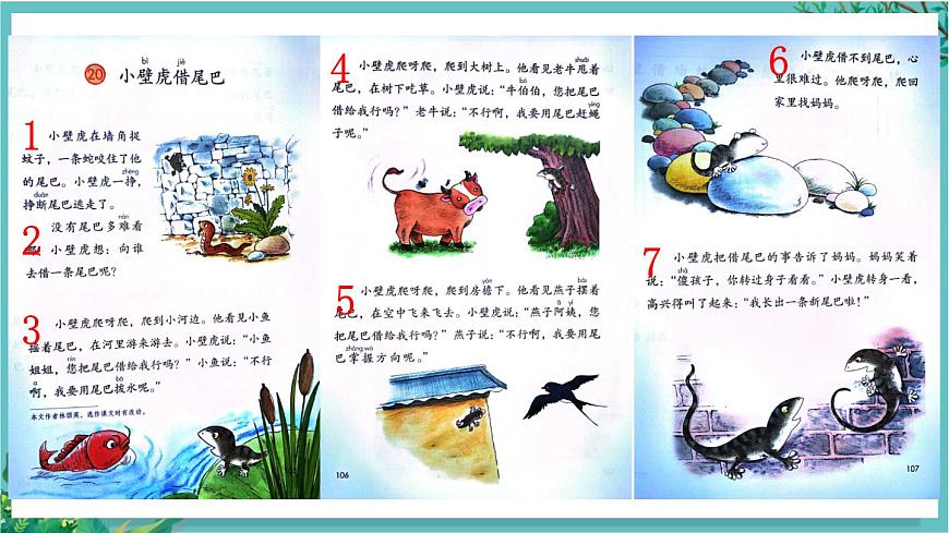 【核心素養(yǎng)】部編版小學(xué)語(yǔ)文一年級(jí)下冊(cè)20 小壁虎借尾巴-課件第4頁(yè)