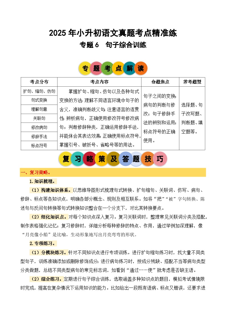 专题6 句子综合训练-2024-2025学年小升初语文备考真题分类汇编（统编版）