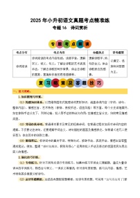 專題16 詩詞賞析-2024-2025學(xué)年小升初語文備考真題分類匯編（統(tǒng)編版）