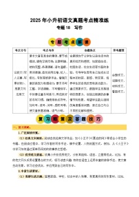 專題18 寫作-2024-2025學(xué)年小升初語文備考真題分類匯編（統(tǒng)編版）
