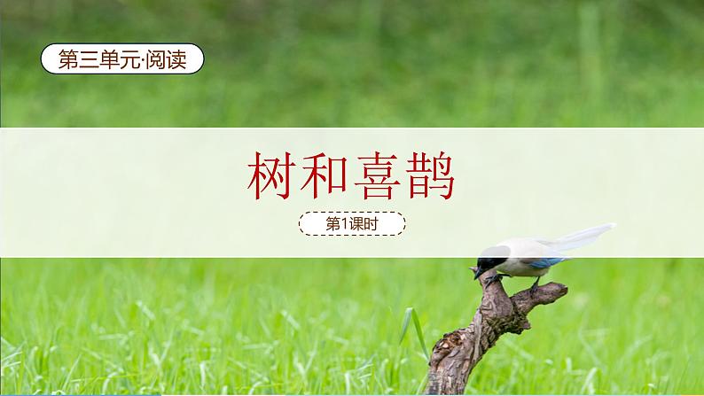 树和喜鹊(第1课时)第2页