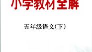 部编版小学语文五年级下册第六单元课堂全解+知识点笔记