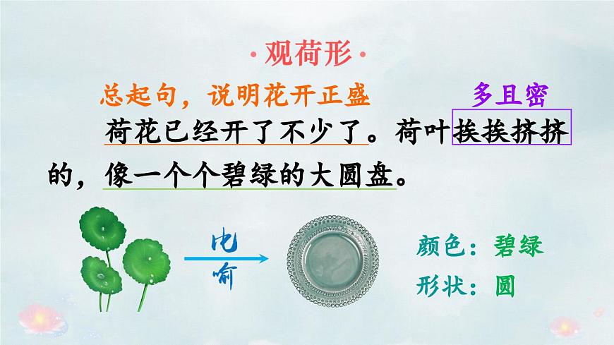 統(tǒng)編版小學語文三年級下冊 第一單元 3《荷花》教學課件(第二課時)第2頁