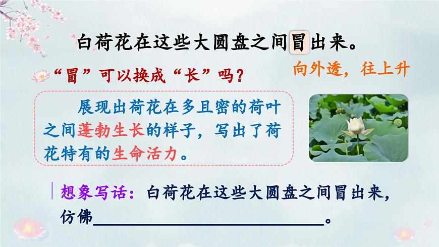 統(tǒng)編版小學語文三年級下冊 第一單元 3《荷花》教學課件(第二課時)第4頁