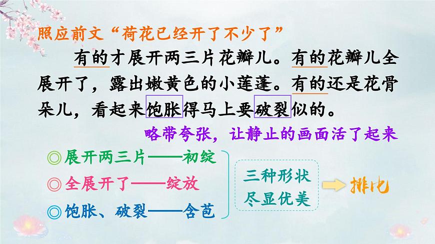 統(tǒng)編版小學語文三年級下冊 第一單元 3《荷花》教學課件(第二課時)第6頁