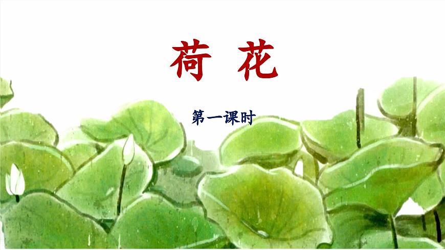 統(tǒng)編版小學(xué)語文三年級(jí)下冊(cè) 第一單元 3《荷花》 課件（第一課時(shí)）第1頁