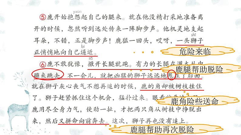 统编版小学语文三年级下册 第二单元 7《鹿角和鹿腿》课件(第二课时)第4页