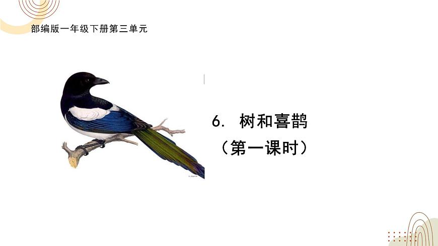 部編版小學(xué)語(yǔ)文一下第三單元大單元《樹和喜鵲》教學(xué)設(shè)計(jì)課件第2頁(yè)