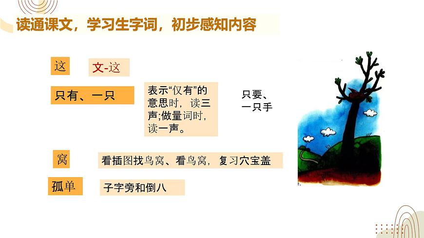 部編版小學(xué)語(yǔ)文一下第三單元大單元《樹和喜鵲》教學(xué)設(shè)計(jì)課件第4頁(yè)