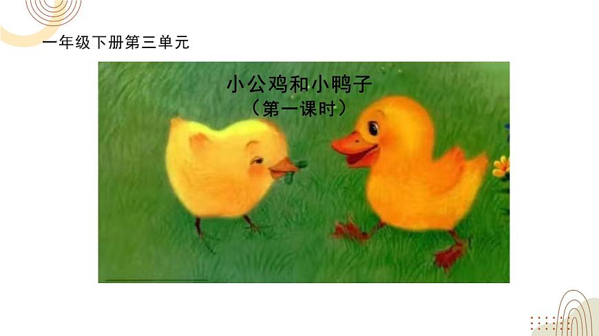 部編版小學(xué)語(yǔ)文一下第三單元大單元《小公雞和小鴨子》教學(xué)設(shè)計(jì)課件第3頁(yè)