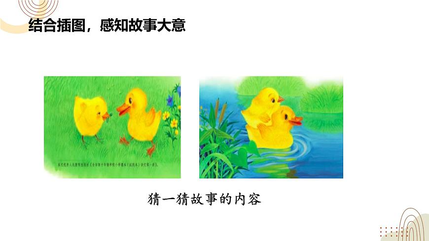部編版小學(xué)語(yǔ)文一下第三單元大單元《小公雞和小鴨子》教學(xué)設(shè)計(jì)課件第4頁(yè)