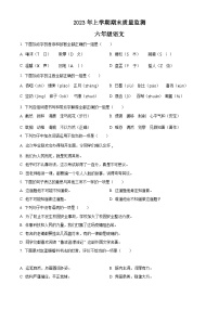 2022-2023学年湖南省岳阳市岳阳县部编版六年级下册期末考试语文试卷(原卷版+解析)