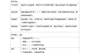 小学语文统编版（2024）一年级上册（2024）z c s教案