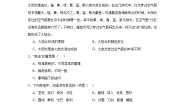 第七单元同步练习  统编版语文三年级下册