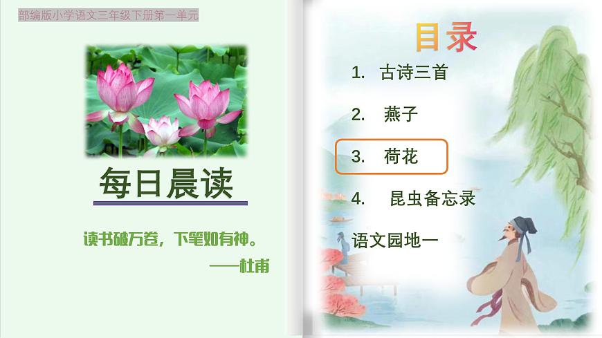 【早讀】部編版語(yǔ)文三年級(jí)下冊(cè) 3《荷花》早讀課件PPT第2頁(yè)