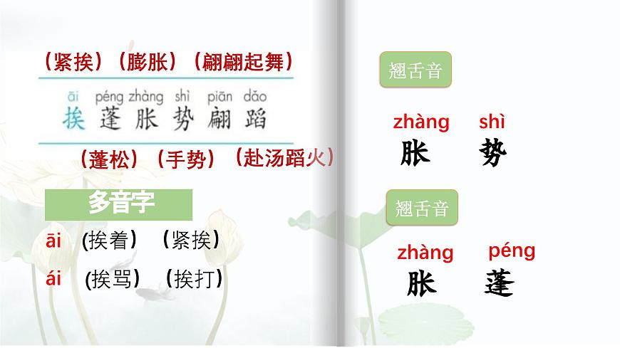【早讀】部編版語(yǔ)文三年級(jí)下冊(cè) 3《荷花》早讀課件PPT第4頁(yè)