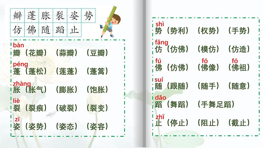 【早讀】部編版語(yǔ)文三年級(jí)下冊(cè) 3《荷花》早讀課件PPT第5頁(yè)