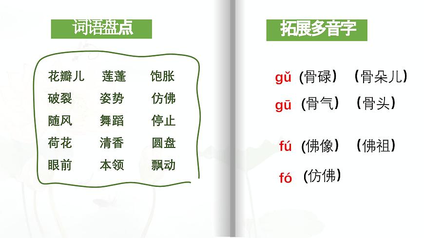 【早讀】部編版語(yǔ)文三年級(jí)下冊(cè) 3《荷花》早讀課件PPT第6頁(yè)