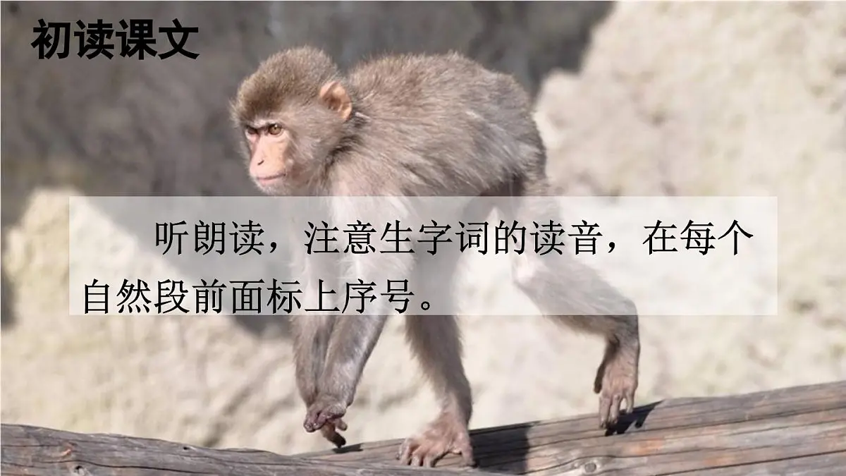 统编版一年级语文下册课件《小猴子下山》第3页