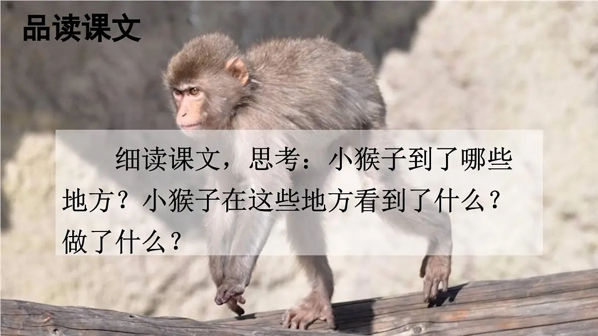 统编版一年级语文下册课件《小猴子下山》第8页