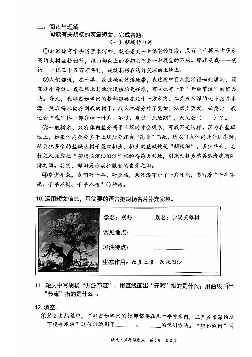 2025北京丰台五年级(上)期末语文试卷第3页