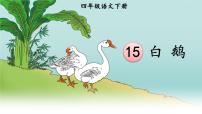 語文四年級下冊白鵝教學ppt課件