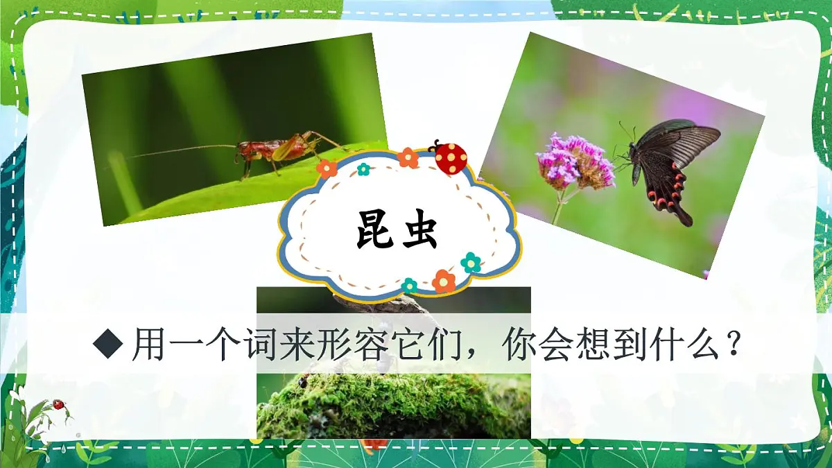 统编版三年级语文下册教学课件《昆虫备忘录》第1页