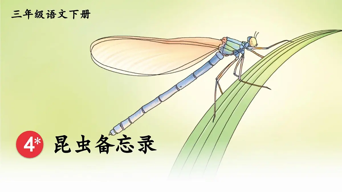 统编版三年级语文下册教学课件《昆虫备忘录》第2页