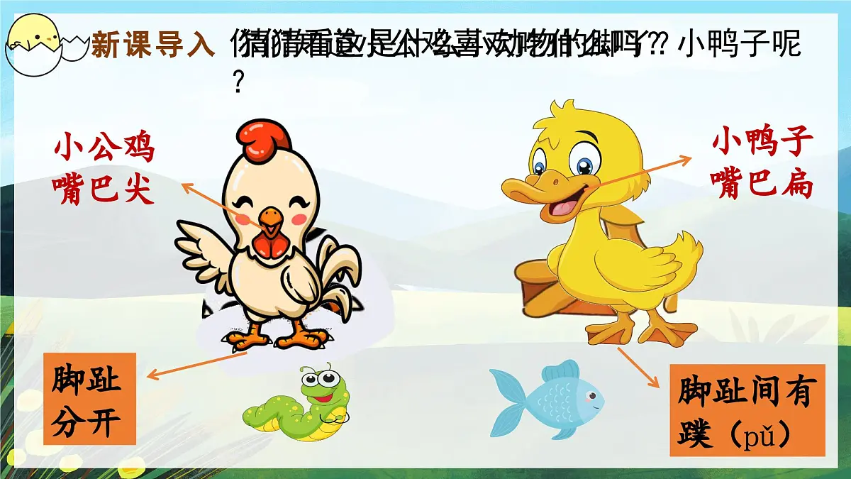 (教学课件)课文4 小公鸡和小鸭子第1页