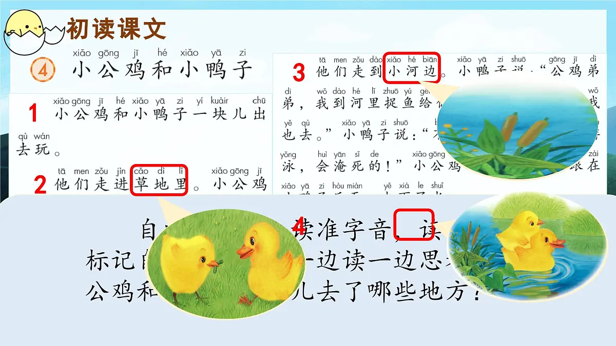 (教学课件)课文4 小公鸡和小鸭子第3页