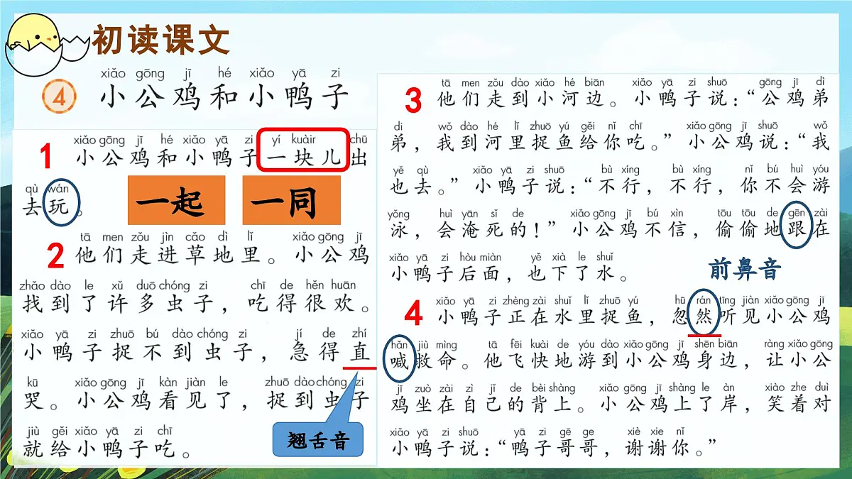(教学课件)课文4 小公鸡和小鸭子第4页