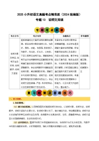 小升初語文備考真題分類匯編 專題13 說明文閱讀（原卷+答案）2024-2025學(xué)年（統(tǒng)編版）