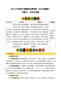 小升初語文備考真題分類匯編 專題14 議論文閱讀（原卷+答案）2024-2025學(xué)年（統(tǒng)編版）
