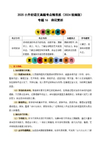 小升初語文備考真題分類匯編 專題16 詩詞賞析（原卷+答案）2024-2025學年（統(tǒng)編版）
