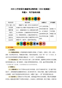 小升初語文備考真題分類匯編 專題6 句子綜合訓(xùn)練（原卷+答案）2024-2025學(xué)年（統(tǒng)編版）