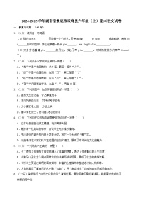 2024-2025学年湖南省娄底市双峰县六年级（上）期末语文试卷