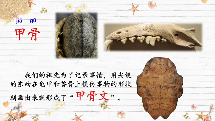 统编版二年级语文下册教学课件《识字3 “贝”的故事》第2页