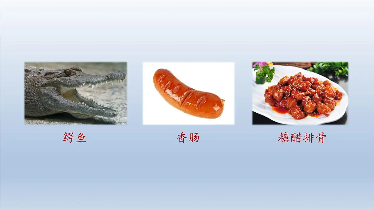 2025春三年级语文下册第5单元17我变成了一棵树第一课时课件(统编版)第8页