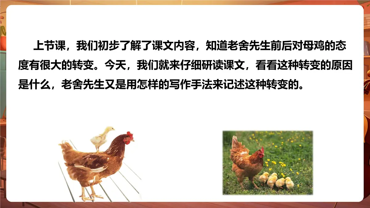 14母鸡 第2课时 课件第3页