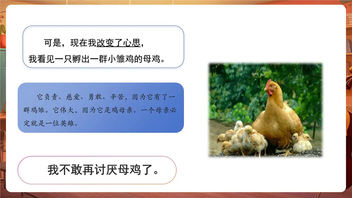 14母鸡 第2课时 课件第5页
