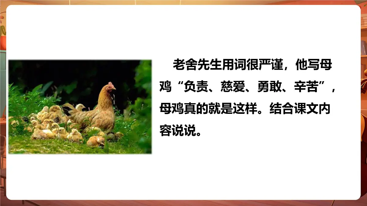 14母鸡 第2课时 课件第7页
