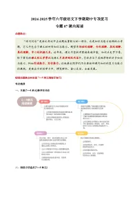 专题07课内阅读-2024-2025学年六年级语文下学期期中专项复习练习（统编版）