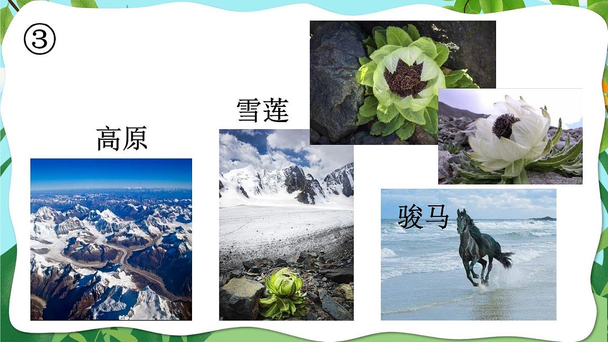 2024-2025学年部编版二年级上册语文教学课件 语文园地七第7页