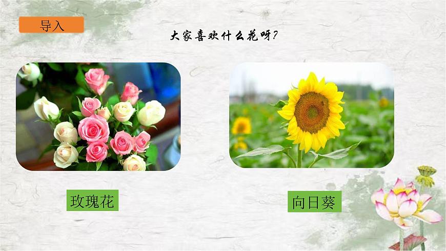 部編版語(yǔ)文三年級(jí)下冊(cè)3《荷花》PPT課件第2頁(yè)