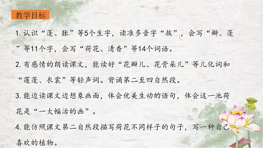 部編版語(yǔ)文三年級(jí)下冊(cè)3《荷花》PPT課件第3頁(yè)