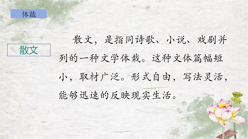 部編版語(yǔ)文三年級(jí)下冊(cè)3《荷花》PPT課件第5頁(yè)